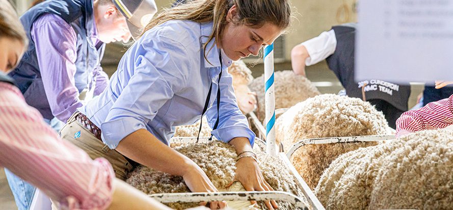 AWN Industry Team a First for Merino Challenge