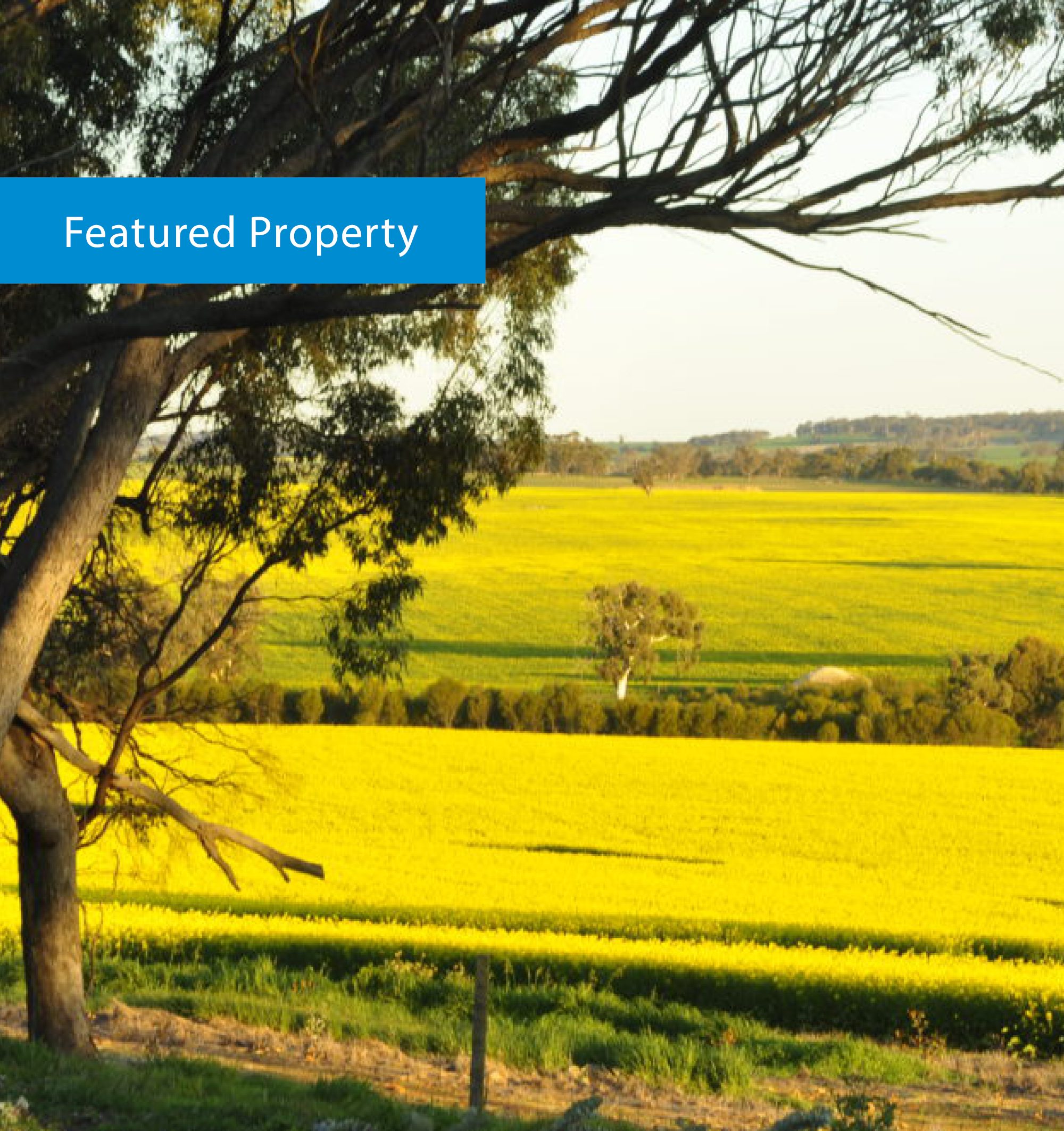 AWN Property Feature Wirewood LHF;