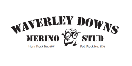 Waverly Downs Annual Stud Merino Sale