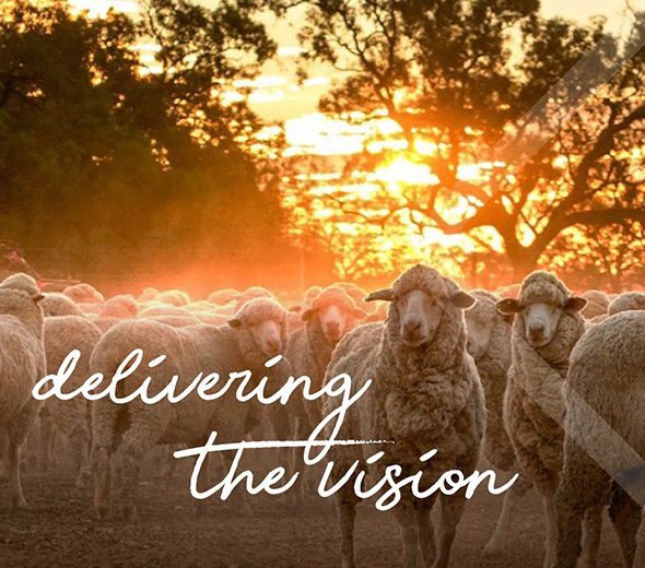 AWN-delivering-the-vision-sheep-Hero-image2
