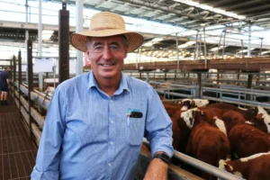 A smiling Damien Harrington, an AWN Wimmera livestock agent, wearing a straw hat and blue shirt, leaning on a fence in a cattle saleyard with Hereford cattle in pens behind him