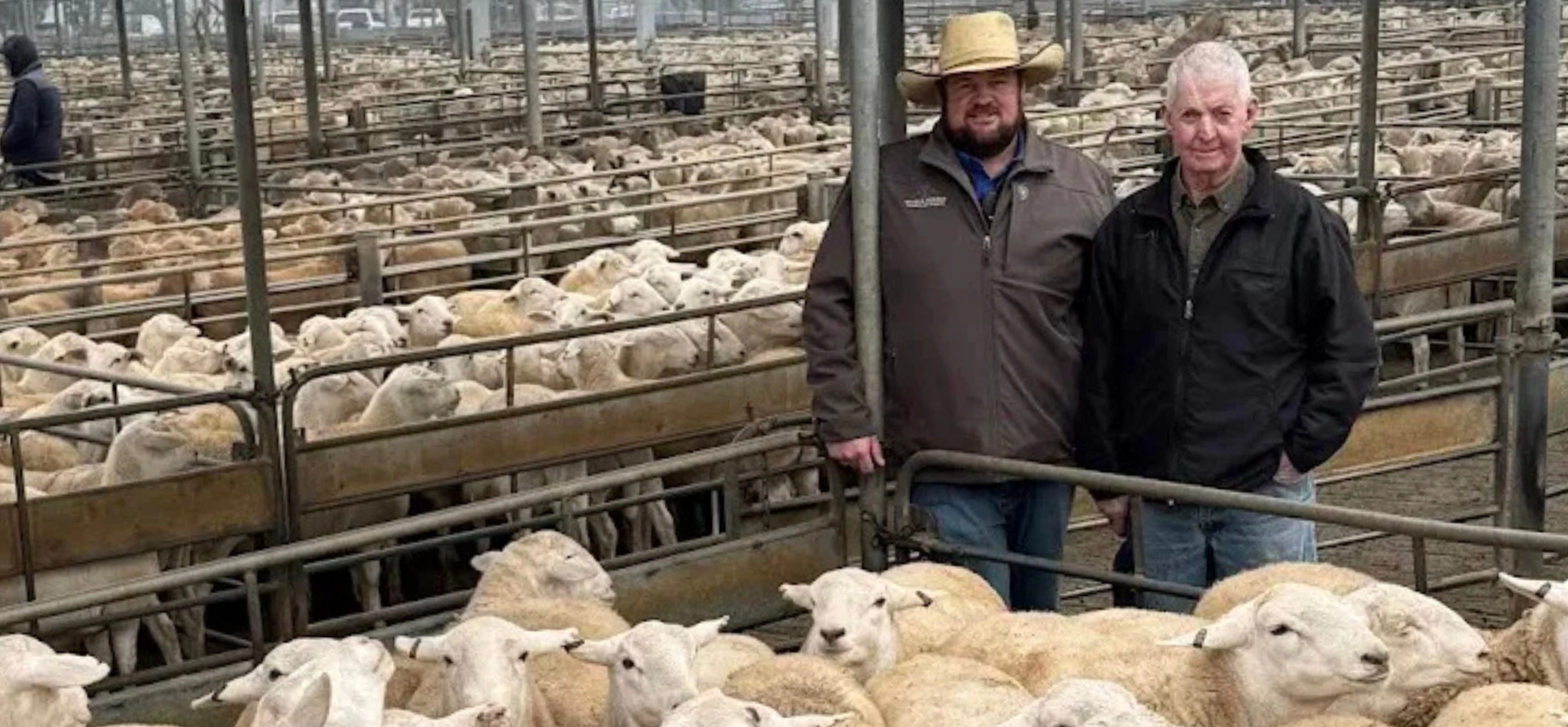 AWN Wagga's Joe Wilks (left, in a hat) standing with vendor Peter Carroll (right) among pens of sheep at a sale, celebrating a record-breaking Wagga lamb price