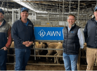 Greg Tilbrook with AWN Murray Mallee Manager Matt Lewis and clients Kevin Heidrich, Nathan Heidrich, and Peter McConnell, standing in front of Muchea Livestock Centre.