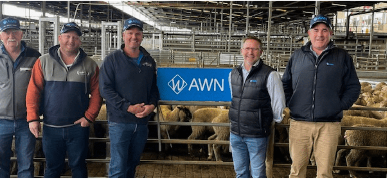 Greg Tilbrook with AWN Murray Mallee Manager Matt Lewis and clients Kevin Heidrich, Nathan Heidrich, and Peter McConnell, standing in front of Muchea Livestock Centre.