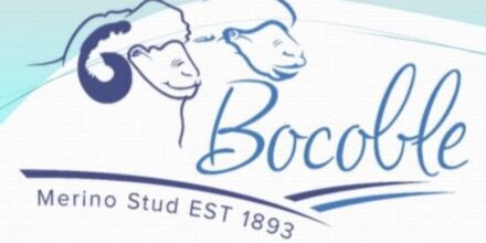 Bocoble On-Property Ram Sale
