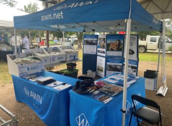 AWN Northern NSW Ram Sales Update – January to February 2026